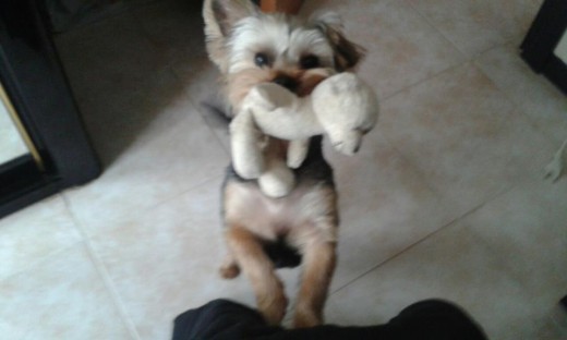 Con su peluche blas